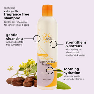 Fragrance Free Shampoo 12 fl. oz.